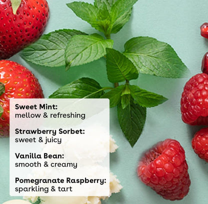 EOS Natural & Organic Shea Lip Balm Stick 4-Pack – Bestselling Flavors