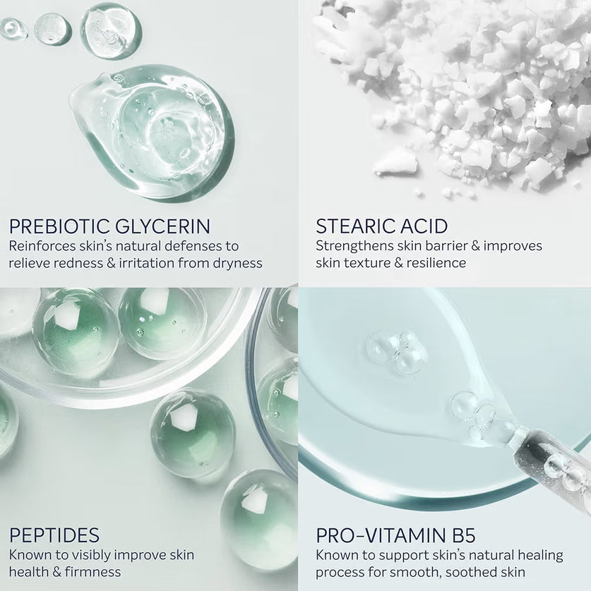 Dove Prebiotic Protection Body Cream Serum with Pro-Vitamin B5 & Peptides