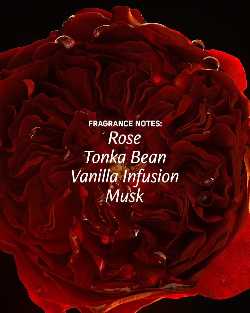 Cyklar Sex Musk Pulse-Point Perfume Oil – Rose, Jasmine & Amber