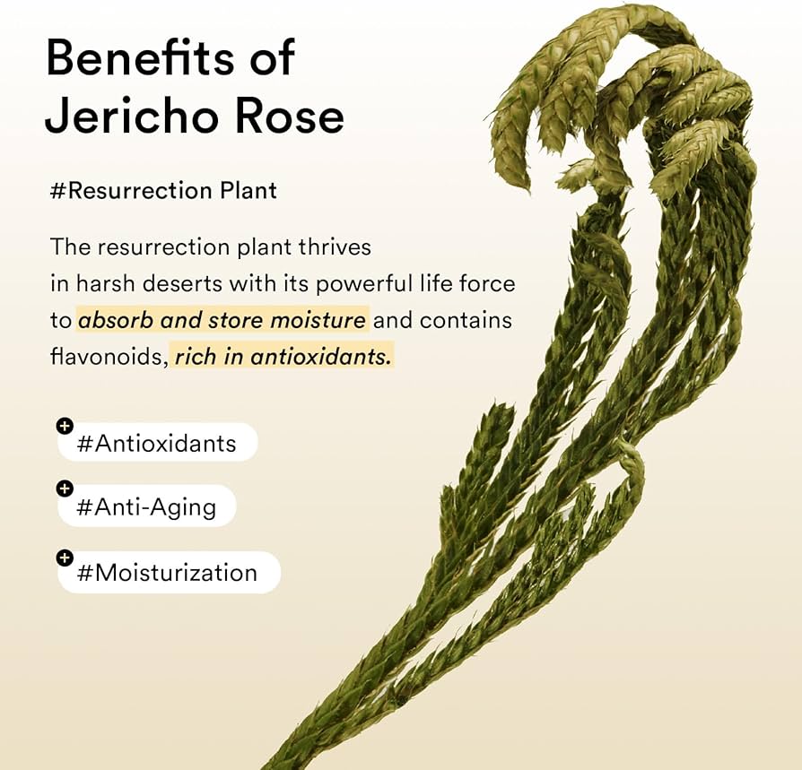 Abib Jericho Rose Collagen & Peptide Eye Patches for Wrinkles & Fine Lines