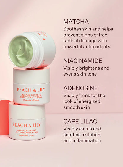 Peach & Lily Matcha Pudding Antioxidant Soothing Face Cream